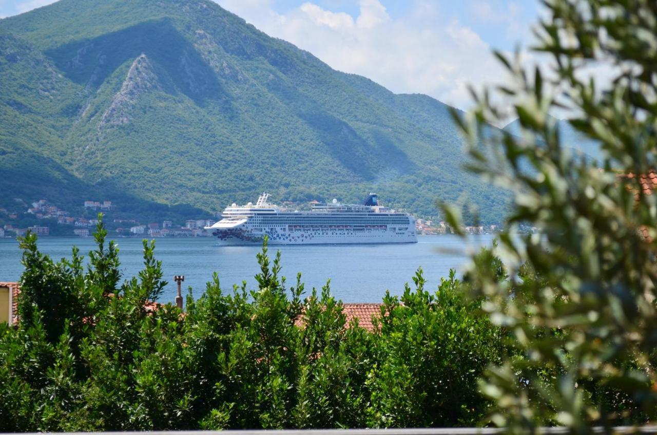 Apartments Kaludjerovic Kotor Exteriör bild