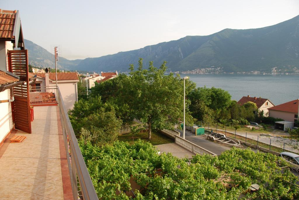 Apartments Kaludjerovic Kotor Exteriör bild